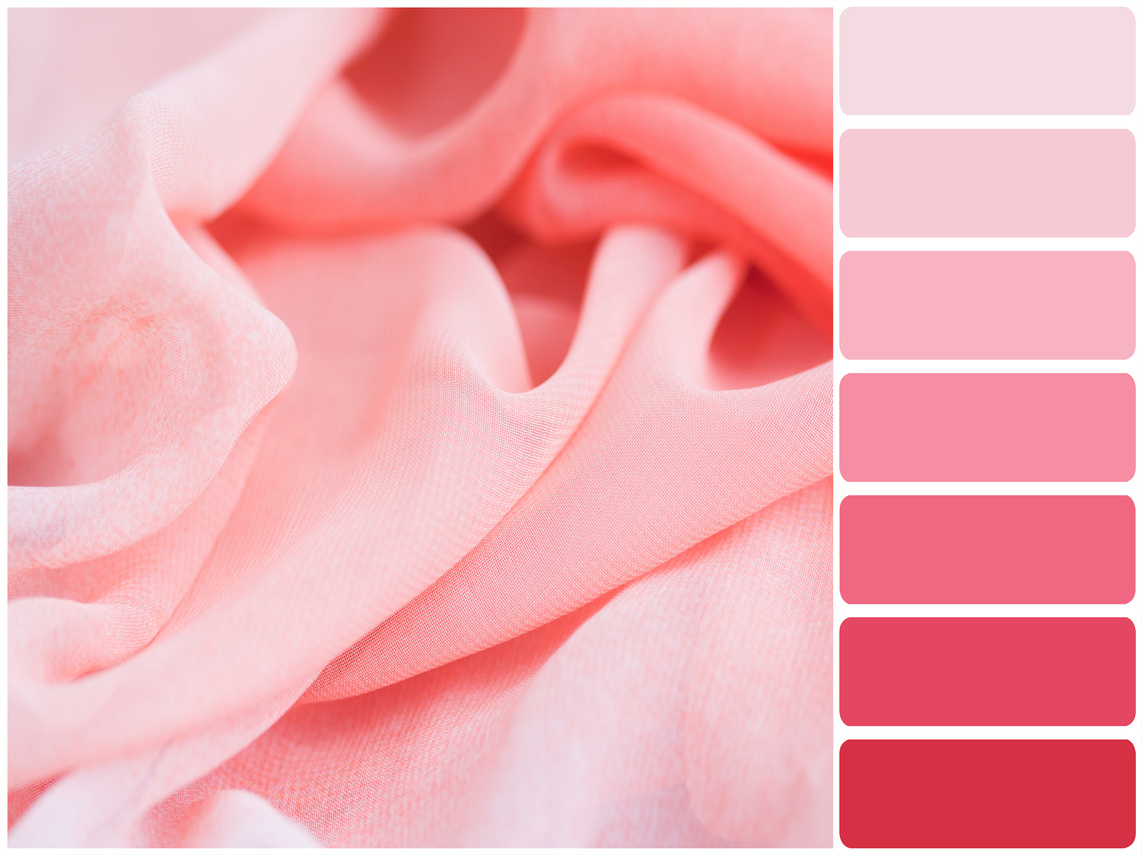 Color palette series: shades of Pink